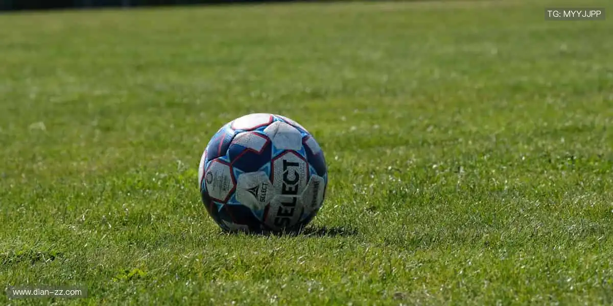 高清直播，身临其境！🎥🌍